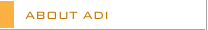 ABOUT ADI